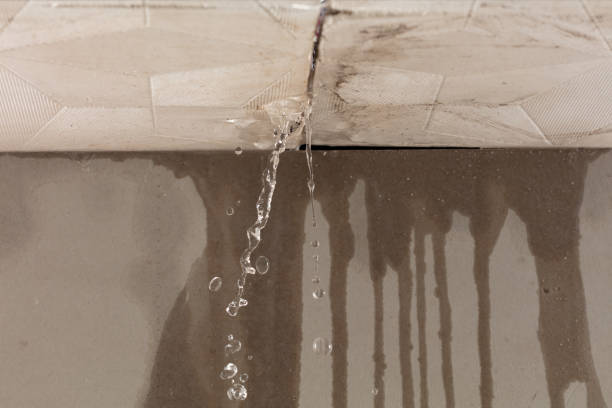 Professional Structural Drying technician working in Woodstock, VA